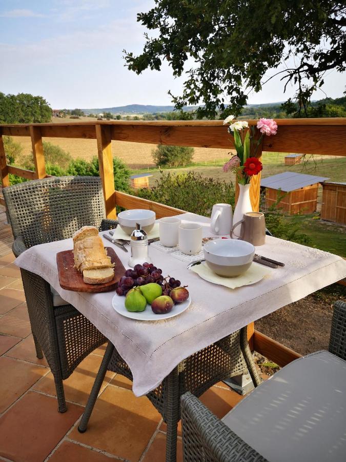 Bed and Breakfast Castel Mazars Castelnau-de-Montmiral Exterior foto
